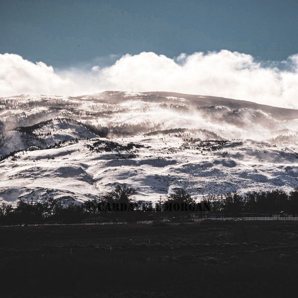 Photograph by Cardayell Morgan