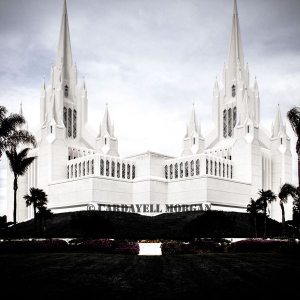 Photograph by Cardayell Morgan