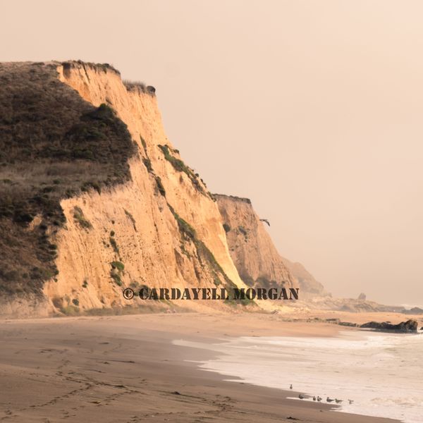 Photograph by Cardayell Morgan