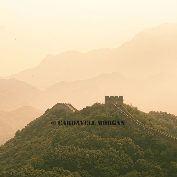 Photograph by Cardayell Morgan