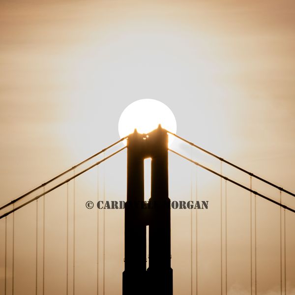 Photograph by Cardayell Morgan